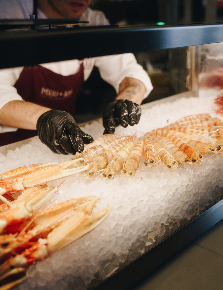 LDMMAD section 4 izq