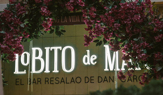 LDM grupos section 1