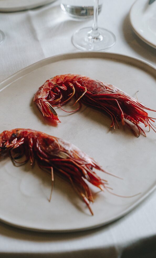 LDM_home_section2_der LDM home section2 der